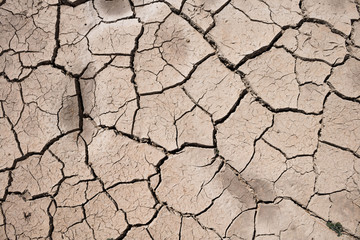 Crack dry ground texture background.