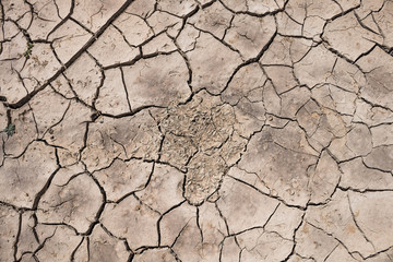 Dry ground on dead fish background, Drought.