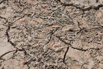 Dry ground on dead fish background, Drought.