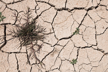 Crack dry ground drought texture background.