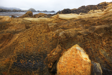 Fototapeta na wymiar Rock Formation, Point Lobos, Carmel, California