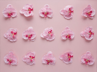 Rosy orchid flowers pattern on pink background.