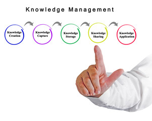 Knowledge Management