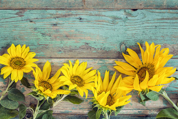 Fototapeta premium Background with yellow sunflowers on old wooden boards with peeling paint.