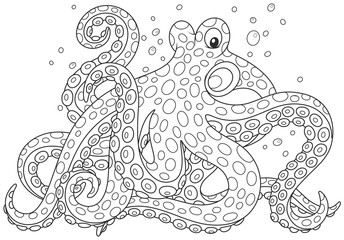 octopus