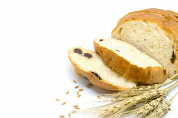Bread on white background