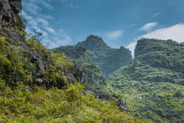 Karst mountains and countryside scenery in summer