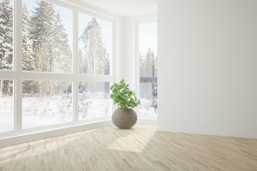 White room with flower and winter landscape in window. Scandinavian interior design