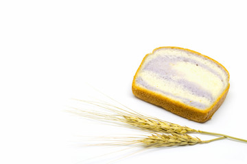 Bread on white background