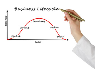 Business lifecycle