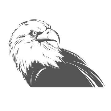 Eagle head in black and white style