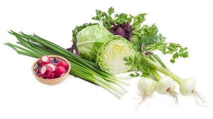 Some early spring vegetables and the greens