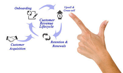 Diagram of Customer Revenue Lifecycle