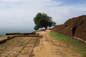 Sigiriya III