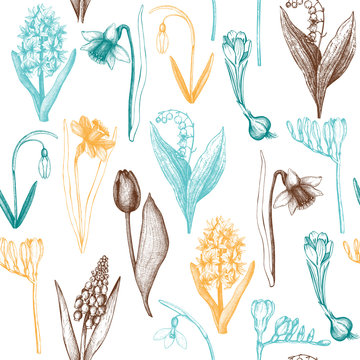Seamless pattern with hand drawn spring flowers sketch. Botanical illustrations of springtime plants on white background