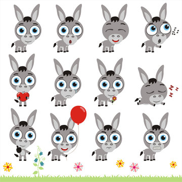 Big set cute little donkey. Collection isolated cartoon donkey in different poses.