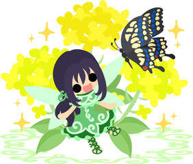 Pretty fairy and beautiful brassica and butterfly