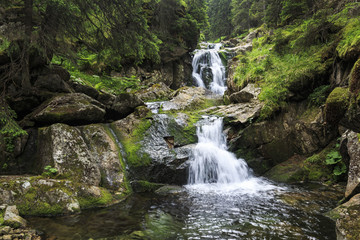 Fototapeta na wymiar Waterfall in the Carpathians