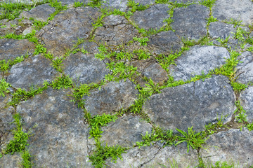 Römisches Straßenpflaster einer ausgegrabenen antiken Straße in Policastro Bussentino