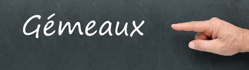Obraz premium Gémeaux à la craie et montrer du doigt sur ardoise. Signes du zodiaque