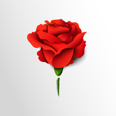 Red rose cut out of paper - 138920941