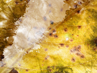 Grunge paper texture, background. Watercolor. Aquarelle. Colorful textured background