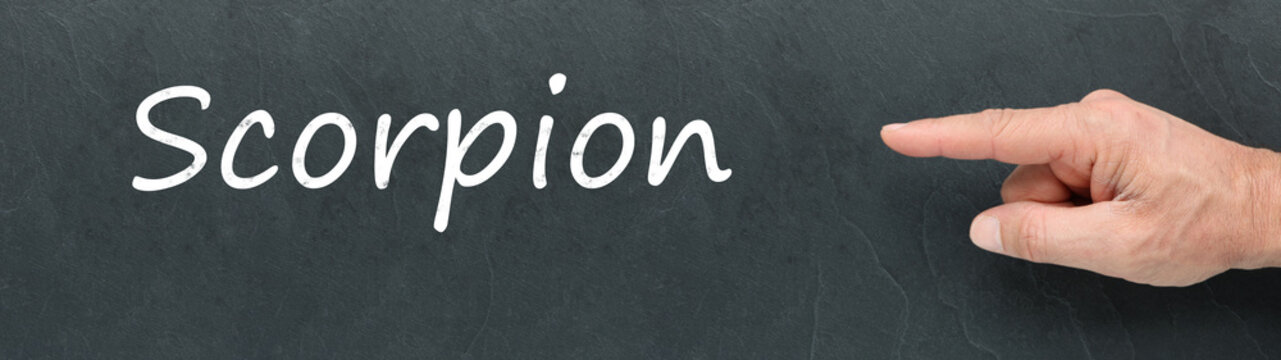 Scorpion &agrave; la craie et montrer du doigt sur ardoise. Signes du zodiaque