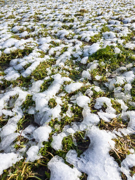 Last Snow covering field and grass under sky