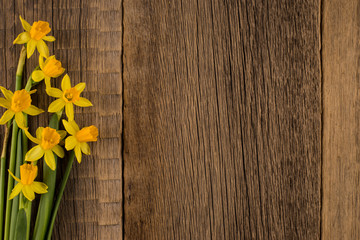 Daffodils on wooden background, copy space.
