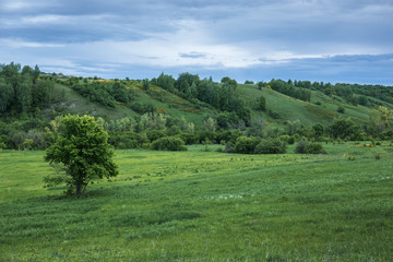 Fototapeta na wymiar Green valley with a ravine