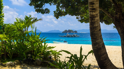 Sea View Through Tropical Trees