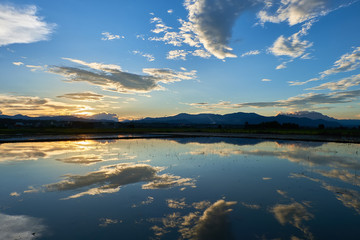 beautiful sunset at the field.