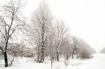 Fototapeta na wymiar winter landscape