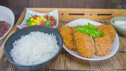 Artificial Japanese food Teriyaki with rice.