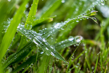 Close up of water droplets