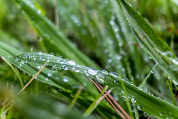 Close up of water droplets