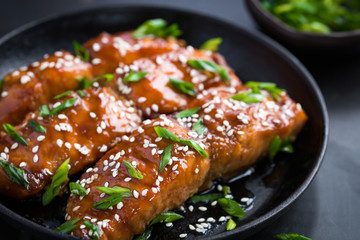 teriyaki salmon, dark background