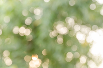 Obraz premium real bokeh from nature for background