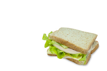 Bologna Ham sandwich with Green Oak Lettuce