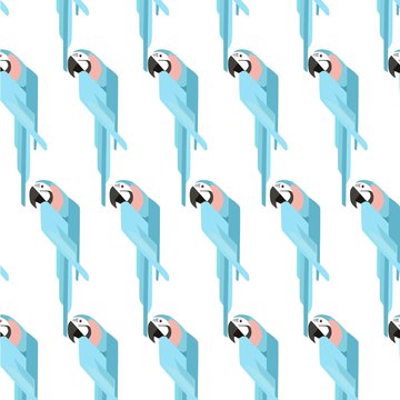 parrot  pattern