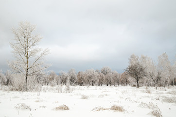 winter landscape