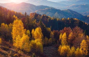 Majestic autumn landscape