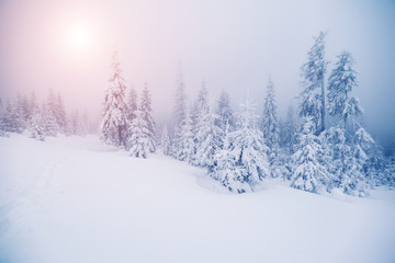 Fantastic wintry landscape