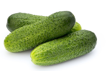 The first spring ecologically cucumbers.