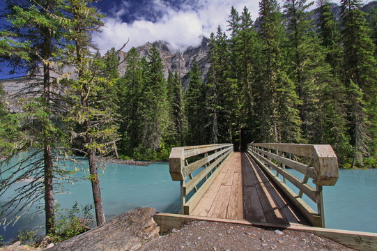 Brücke am Berg Lake Trail unter Mount Robson
