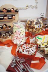 delicious colorful cookies and cakes on the wedding candy bar