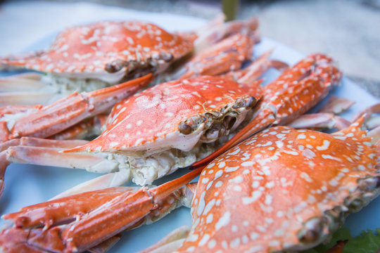 Fresh steamed crabs