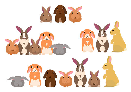 Group Of Rabbits