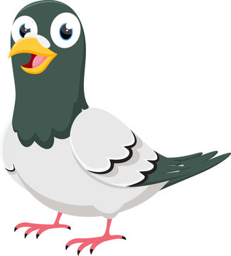 Happy Pigeon cartoon character