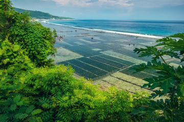 Coast of the island of Nusa Penida with sea weed gardens. Indonesia © Dudarev Mikhail